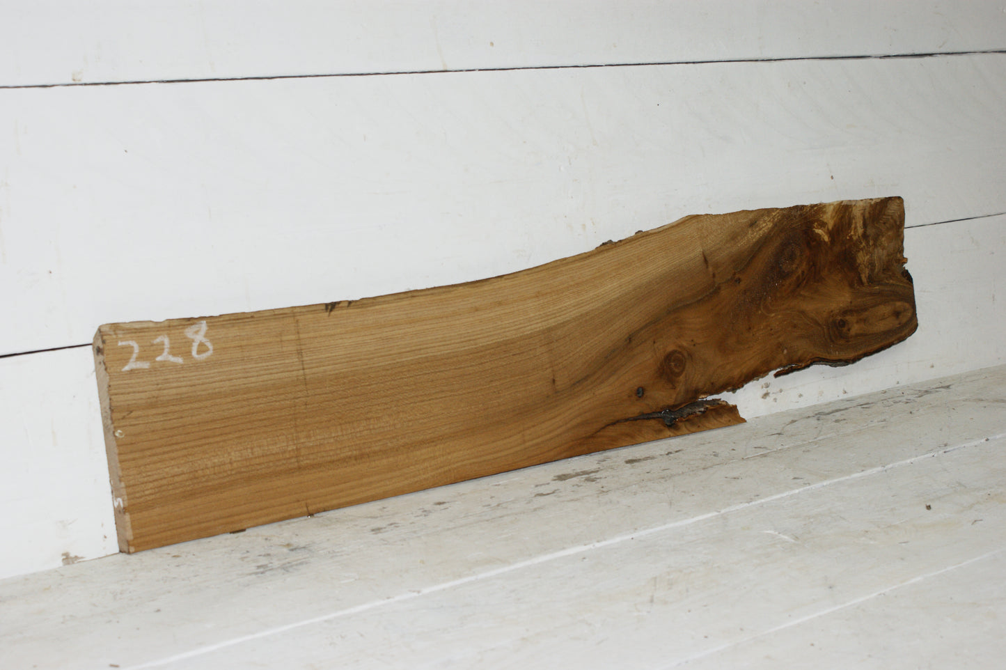 English Elm plank (228)