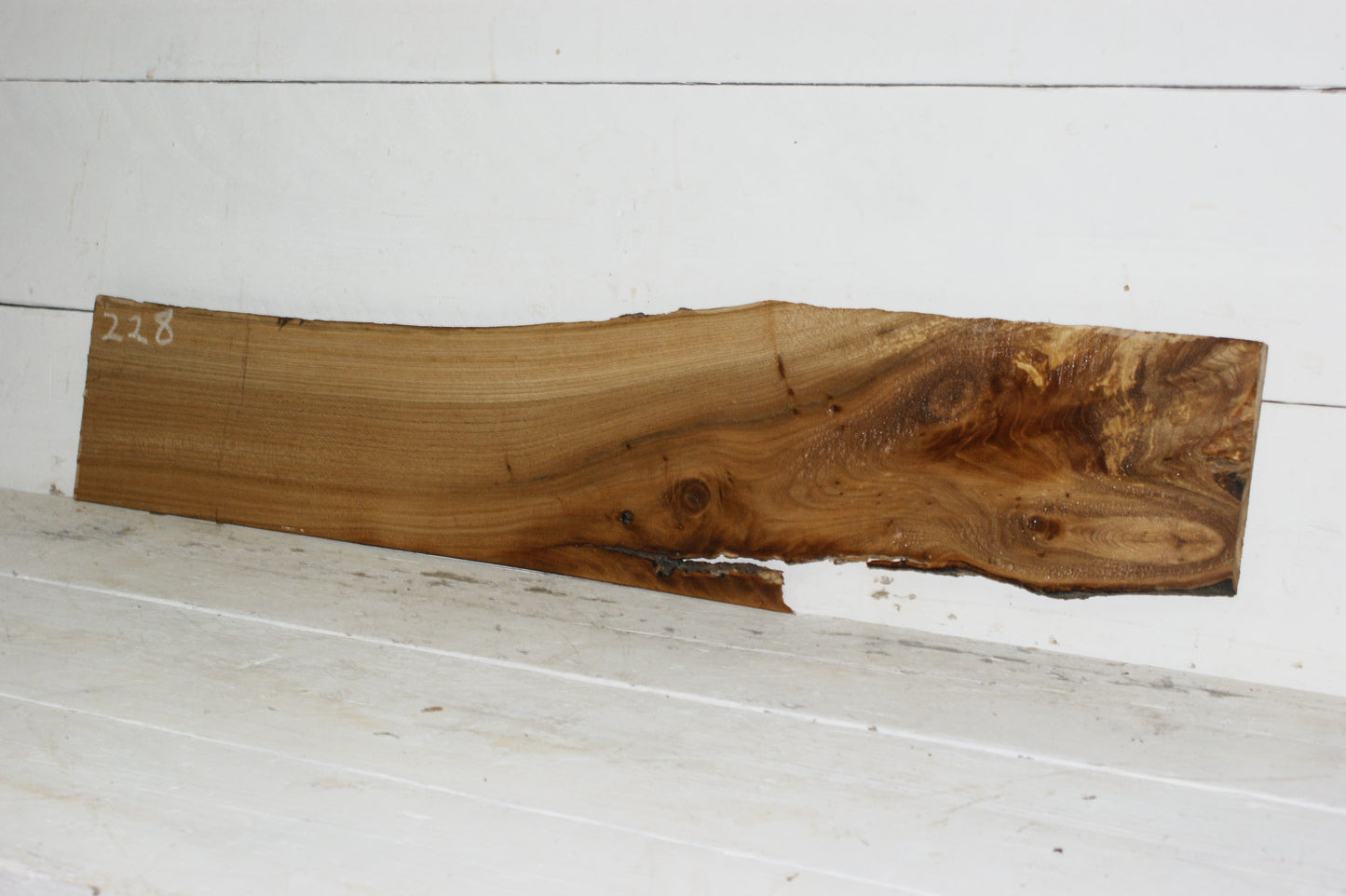 English Elm plank (228)