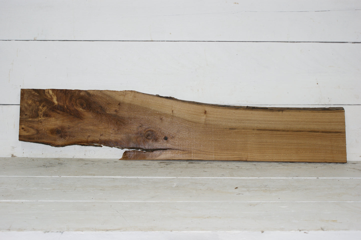 English Elm plank (228)