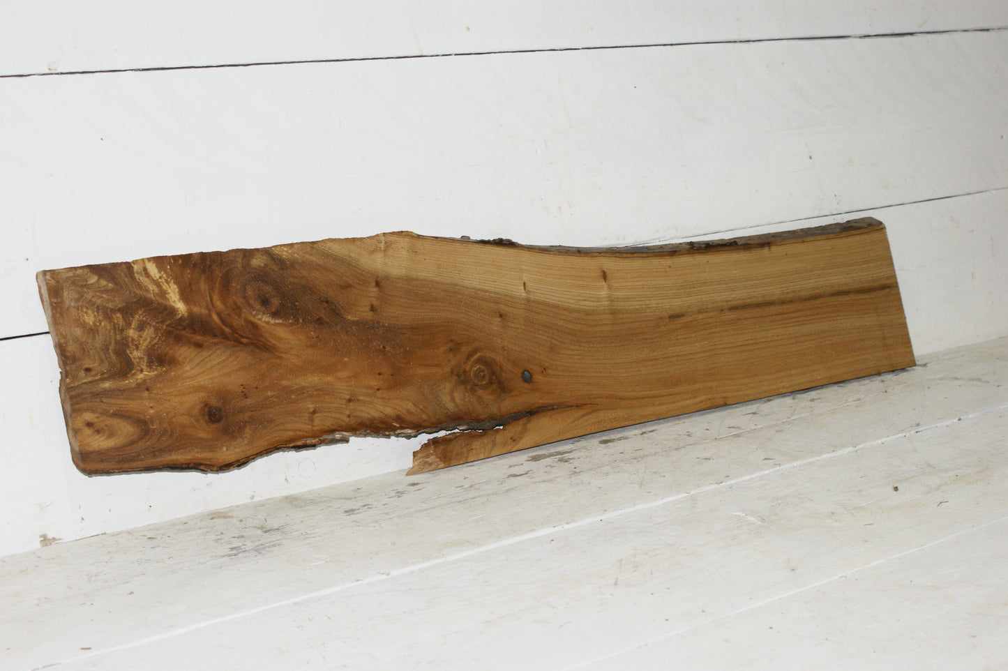 English Elm plank (228)