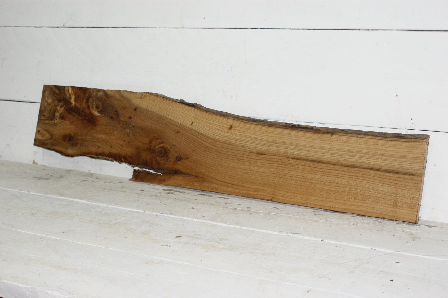 English Elm plank (228)