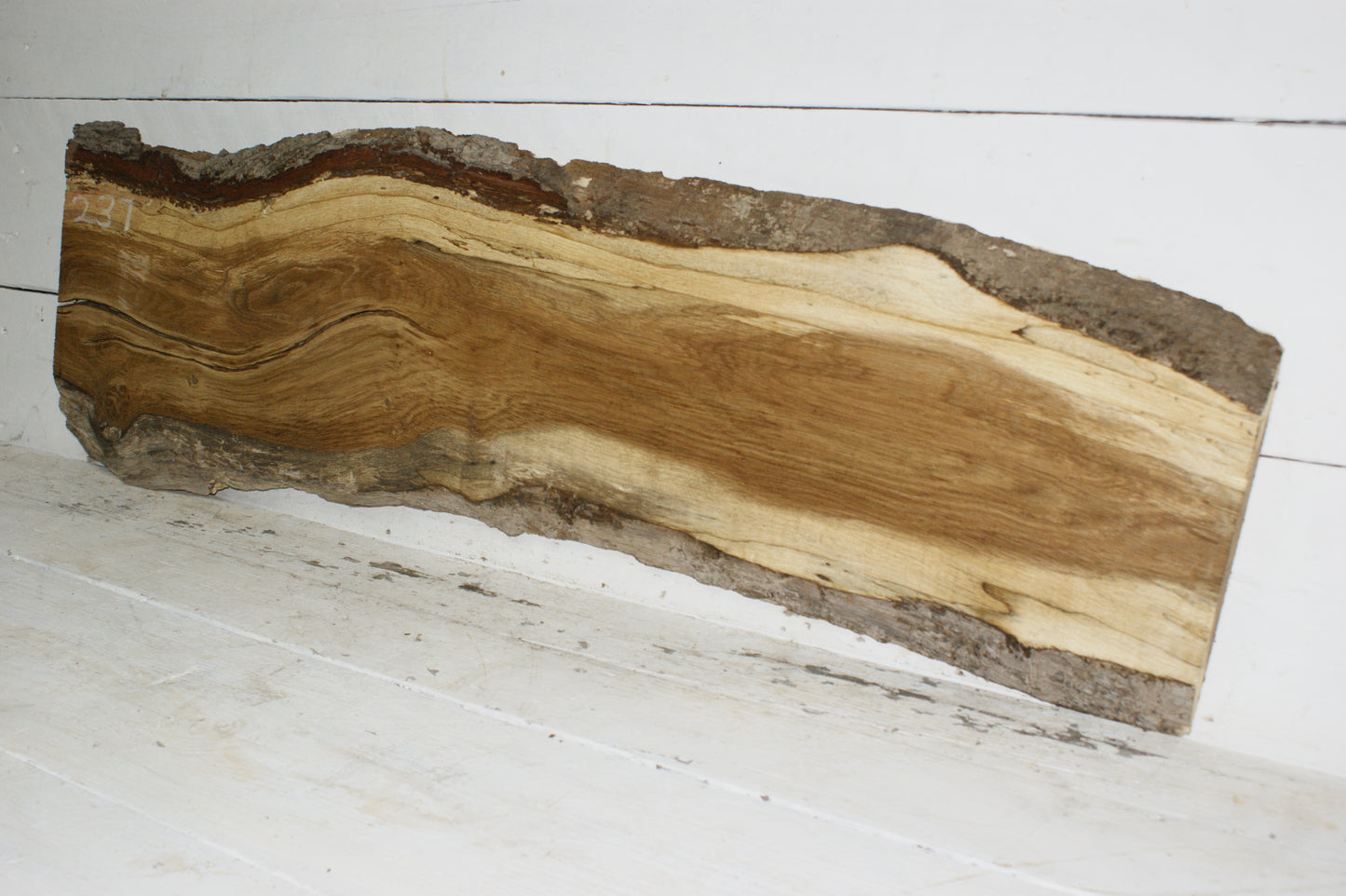 Oak board (237)