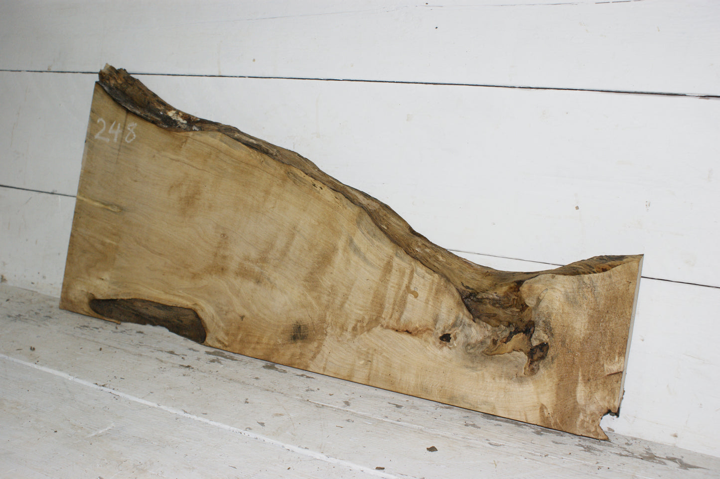 Hornbeam plank, hardwood board (248)