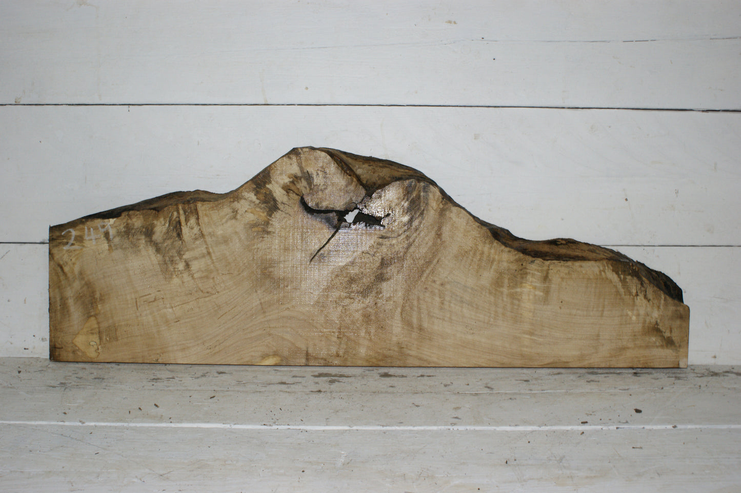 Hornbeam plank, hardwood board (249)