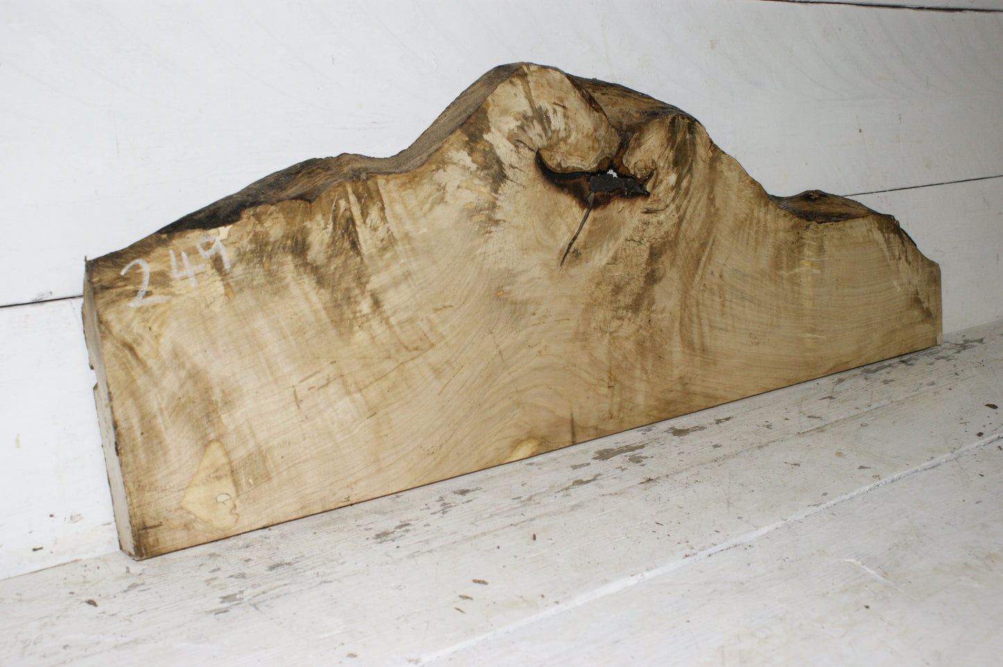 Hornbeam plank, hardwood board (249)