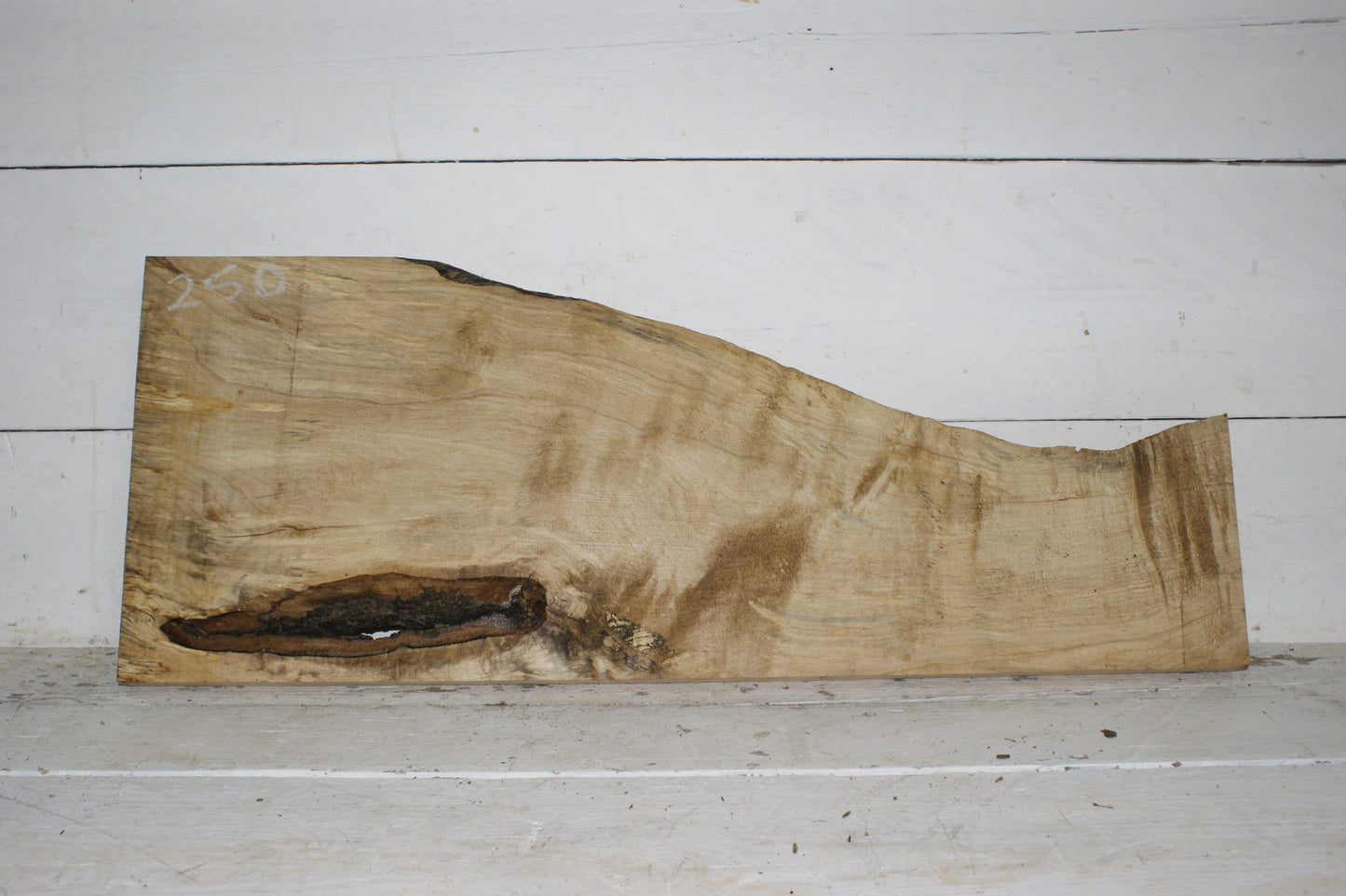 Hornbeam plank, hardwood board (250)