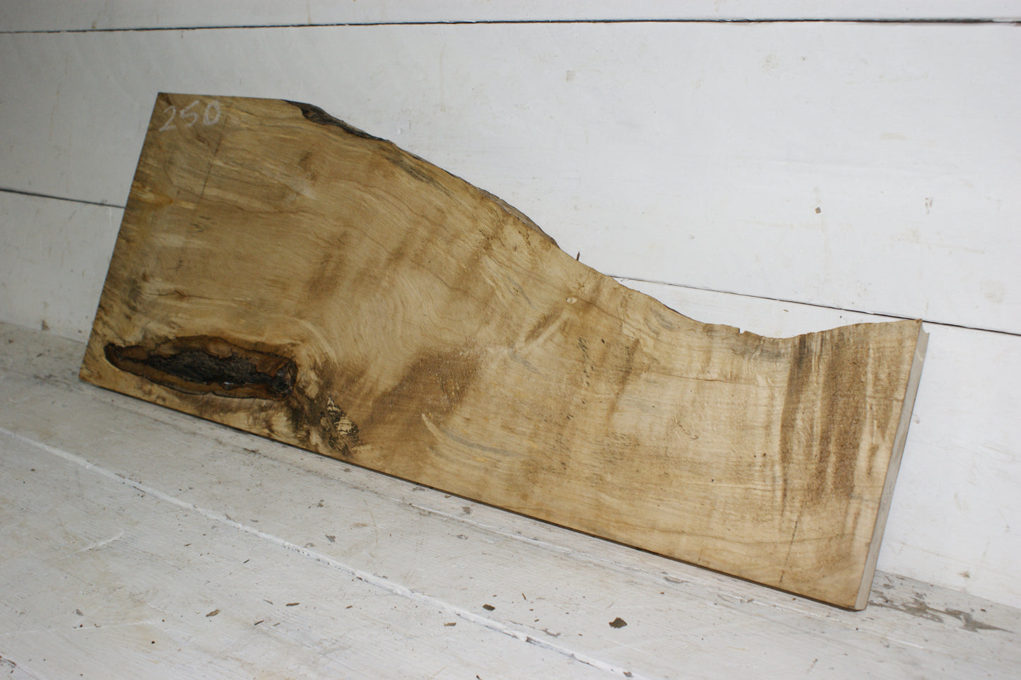 Hornbeam plank, hardwood board (250)