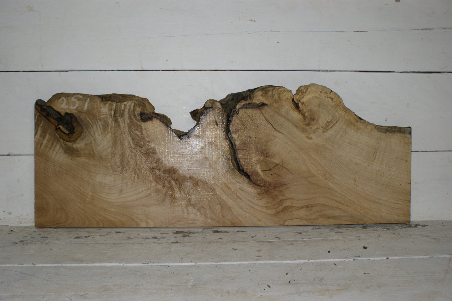 Hornbeam plank, hardwood board (251)