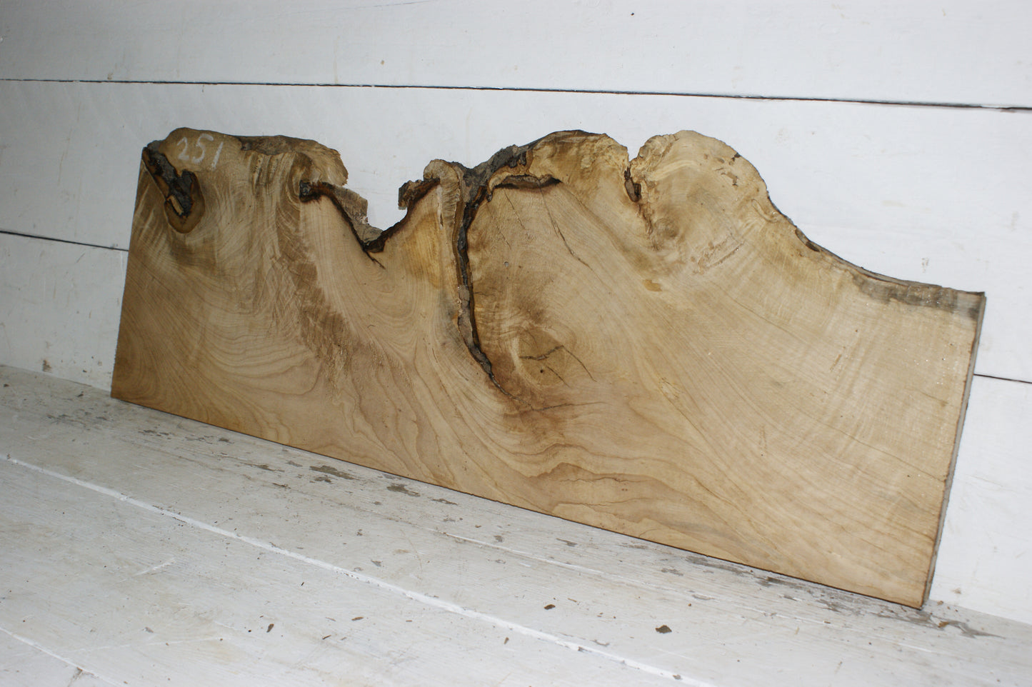 Hornbeam plank, hardwood board (251)