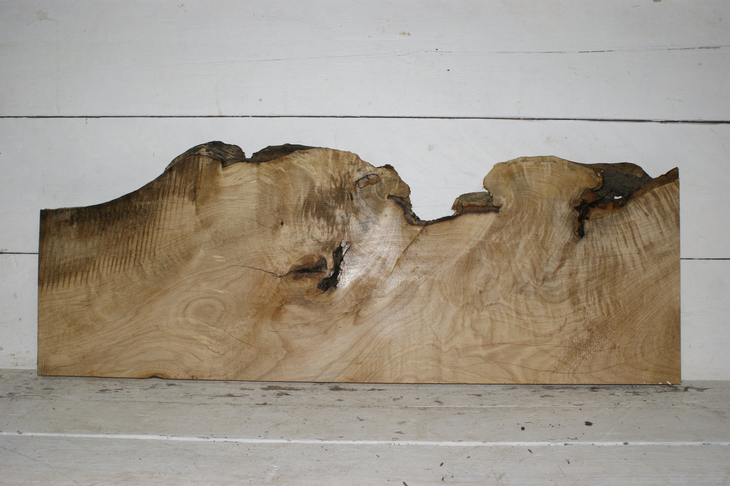 Hornbeam plank, hardwood board (251)