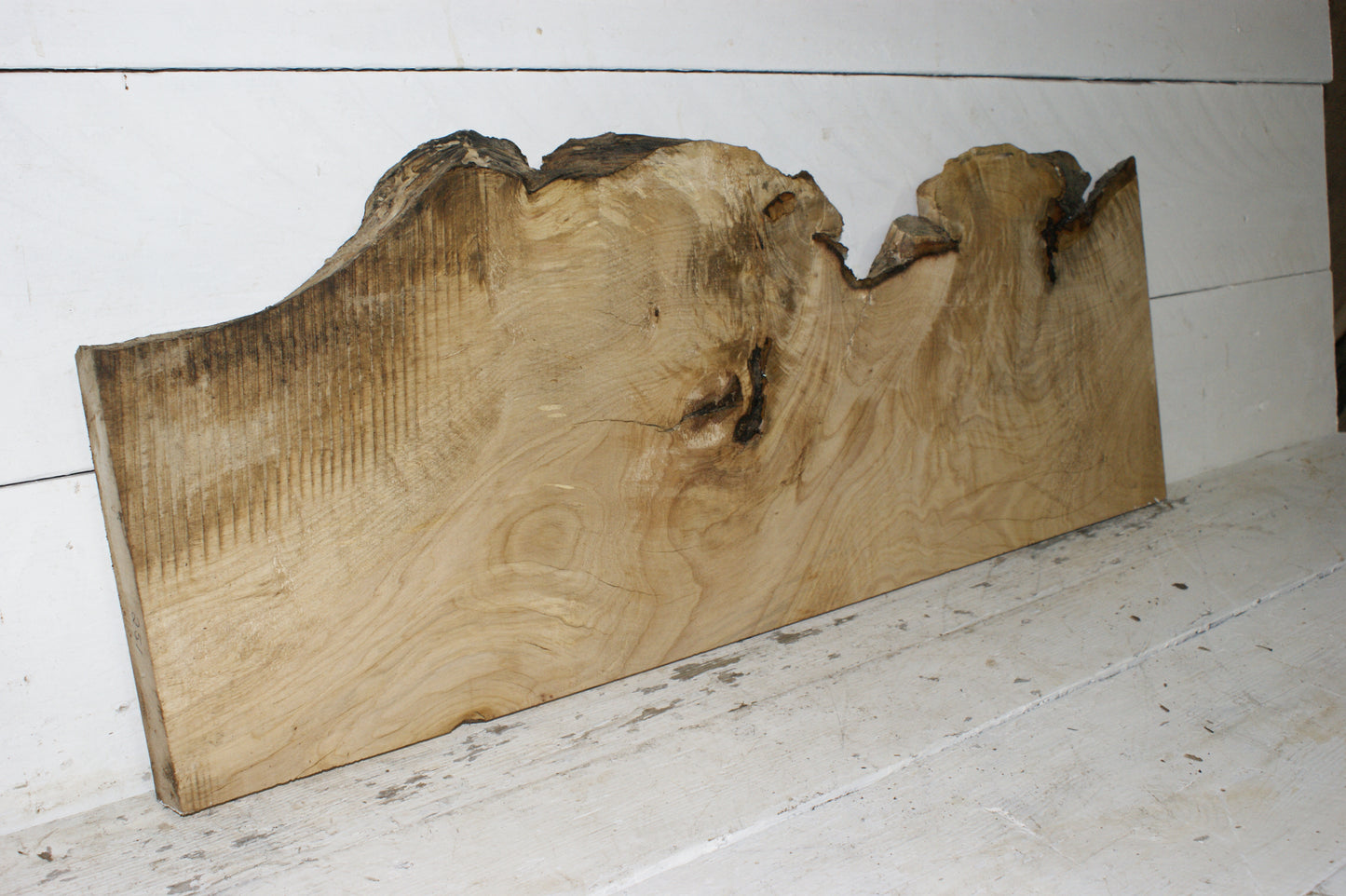 Hornbeam plank, hardwood board (251)