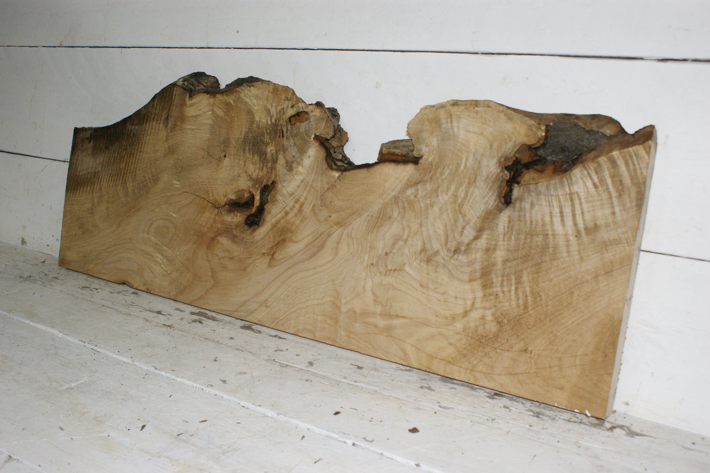Hornbeam plank, hardwood board (251)