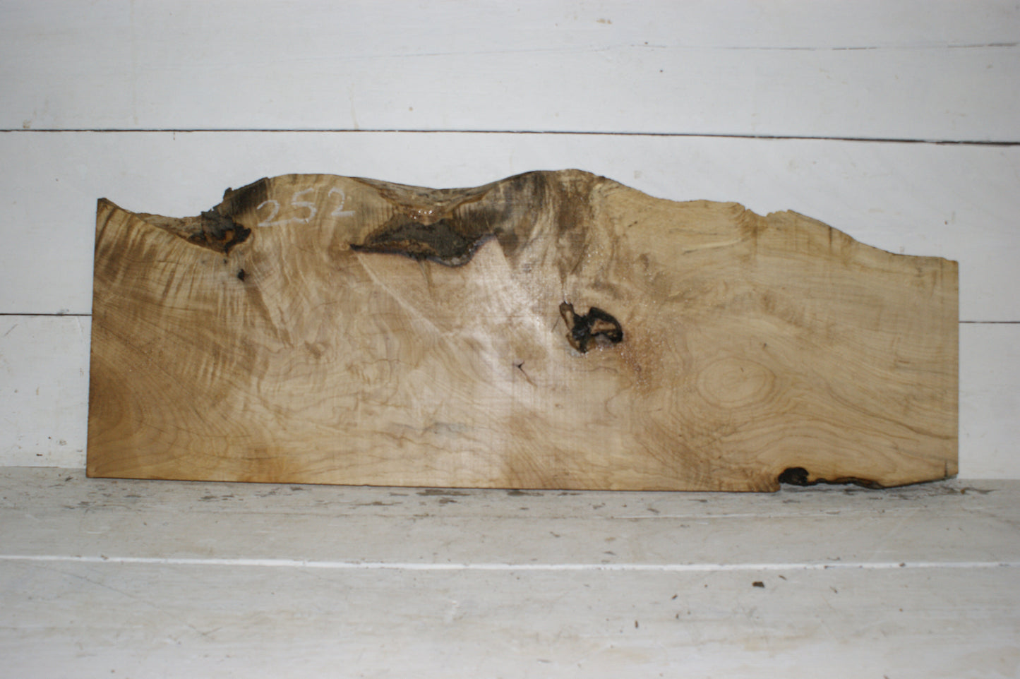 Hornbeam plank, hardwood board (252)