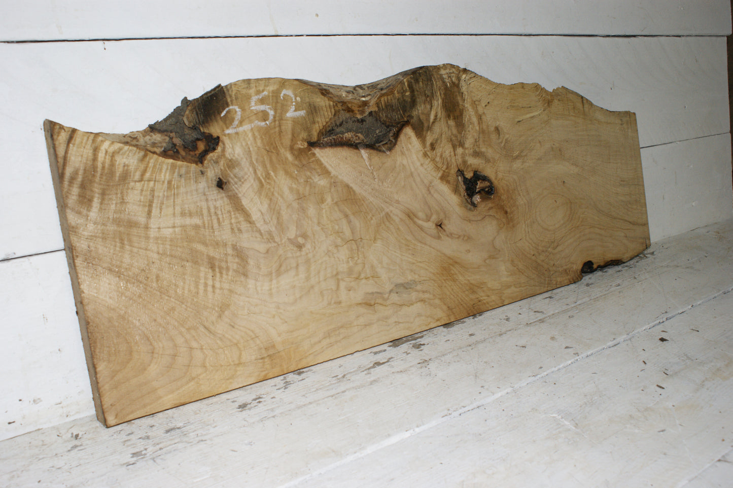 Hornbeam plank, hardwood board (252)