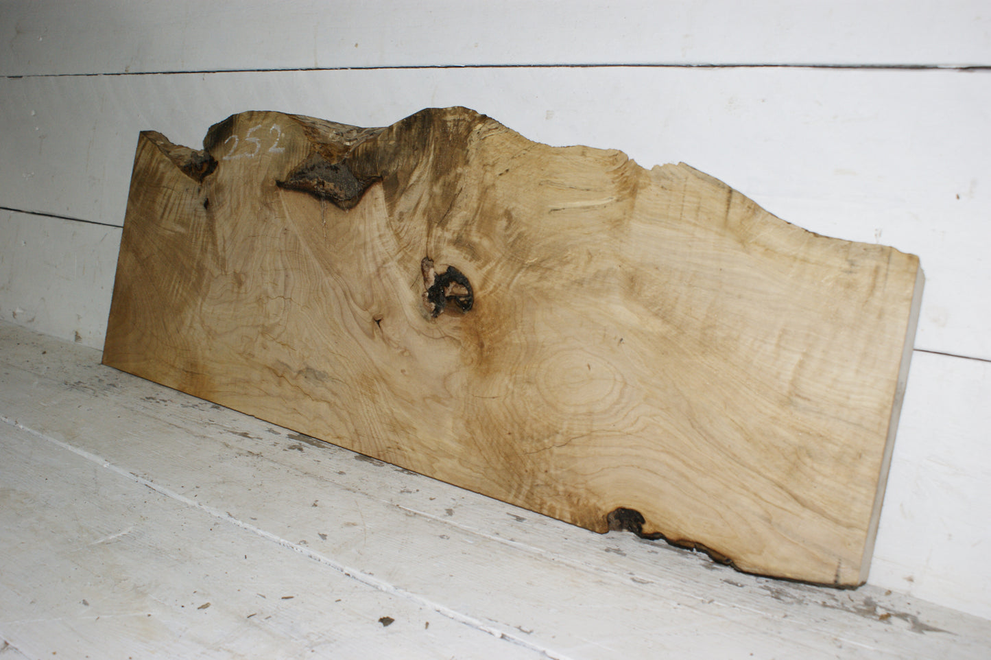Hornbeam plank, hardwood board (252)