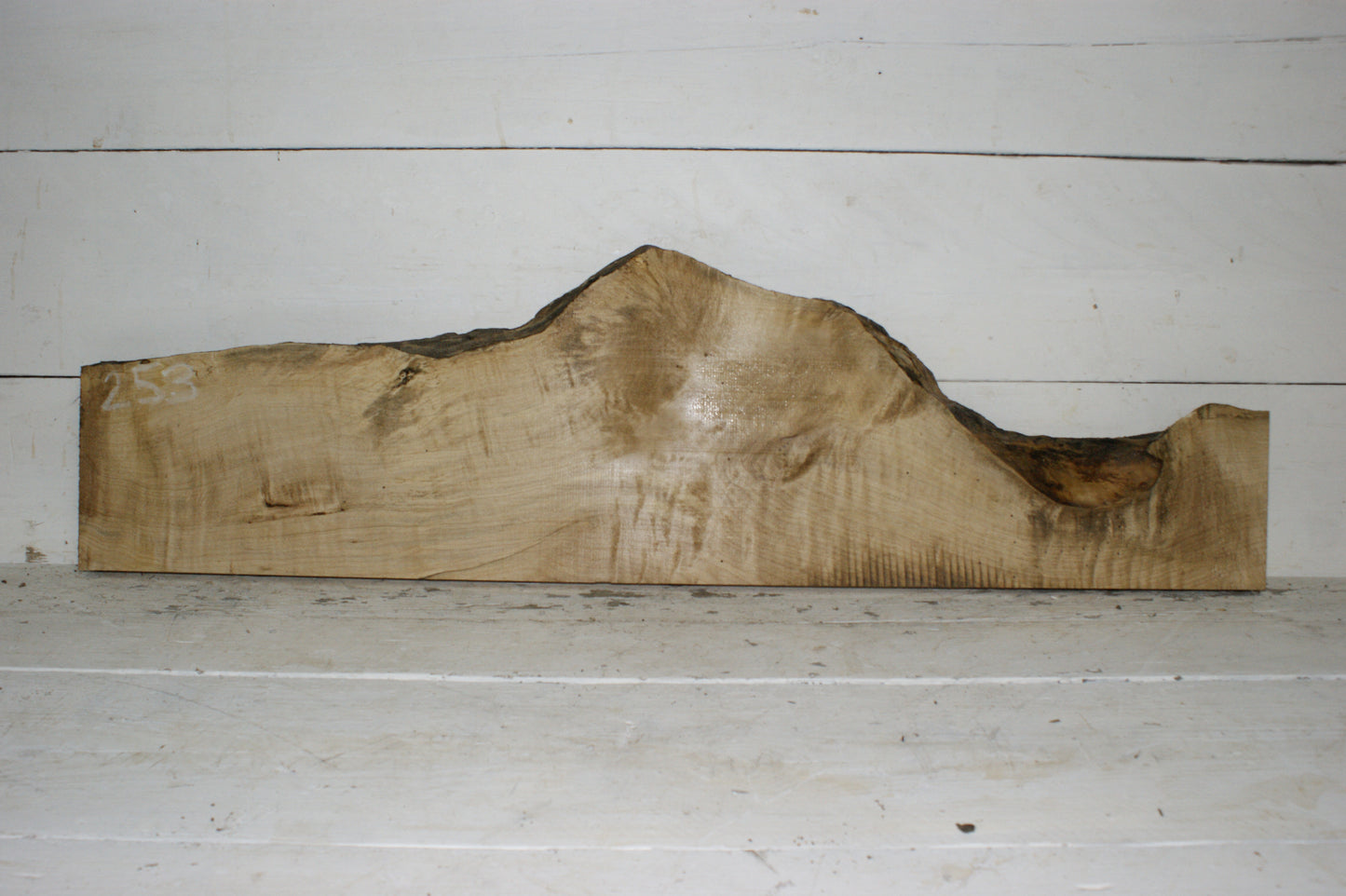 Hornbeam plank, 1126 L x 322 - 142 W x 34 D (mm) hardwood board (253)