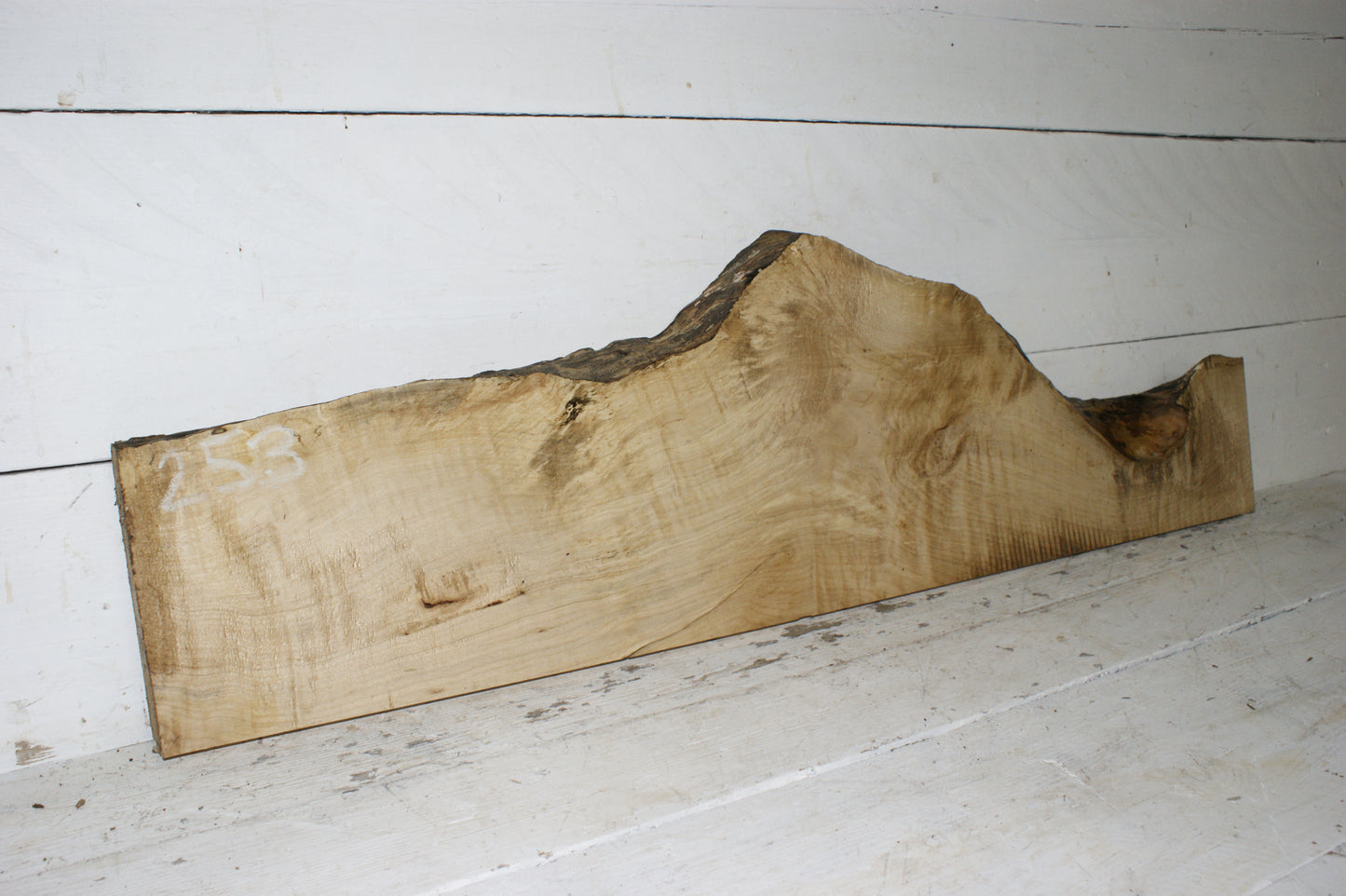 Hornbeam plank, 1126 L x 322 - 142 W x 34 D (mm) hardwood board (253)