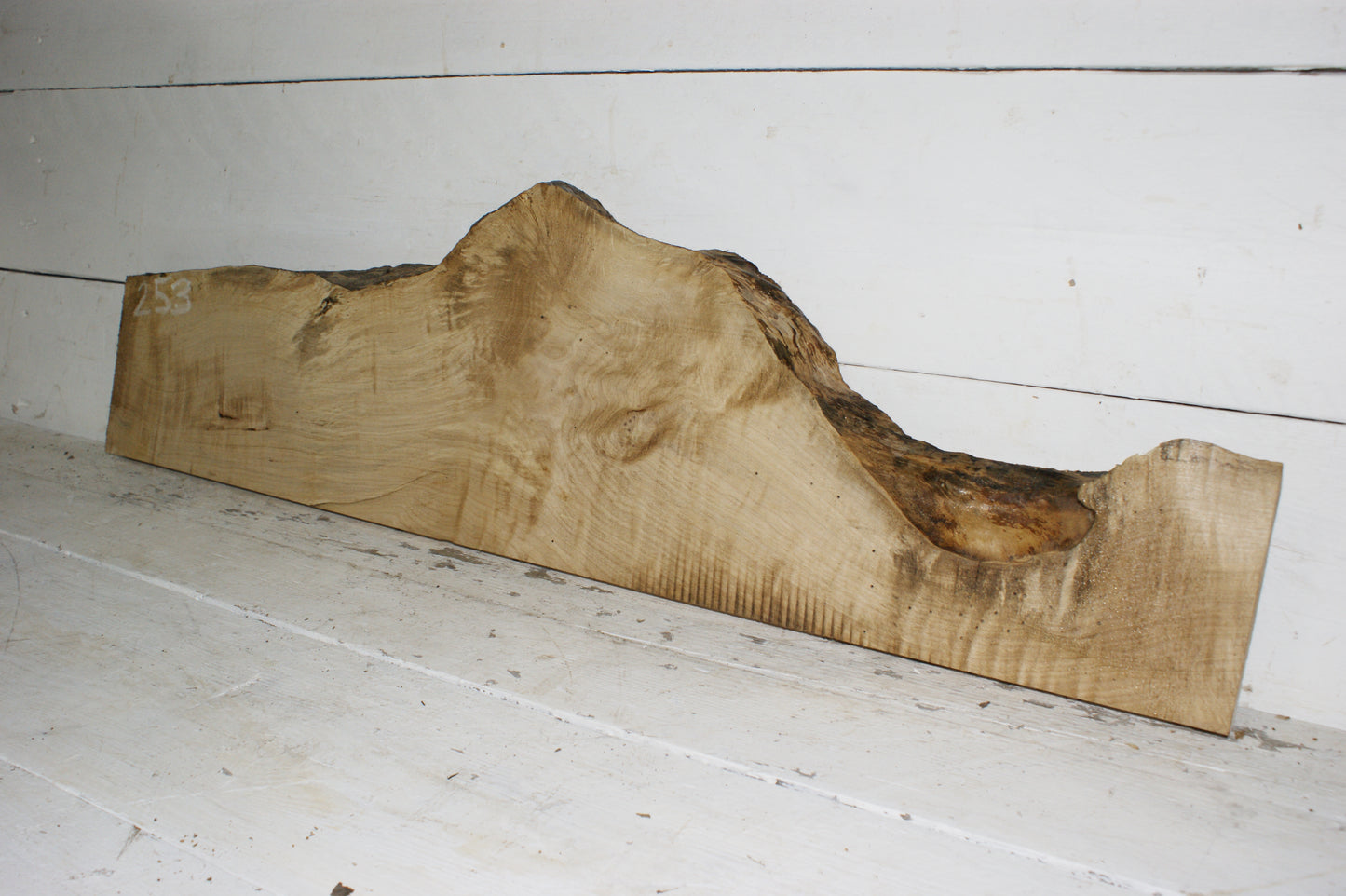 Hornbeam plank, 1126 L x 322 - 142 W x 34 D (mm) hardwood board (253)