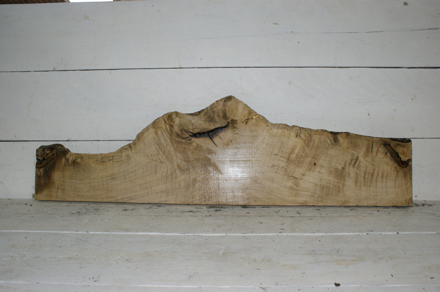 Hornbeam plank, 1126 L x 322 - 142 W x 34 D (mm) hardwood board (253)