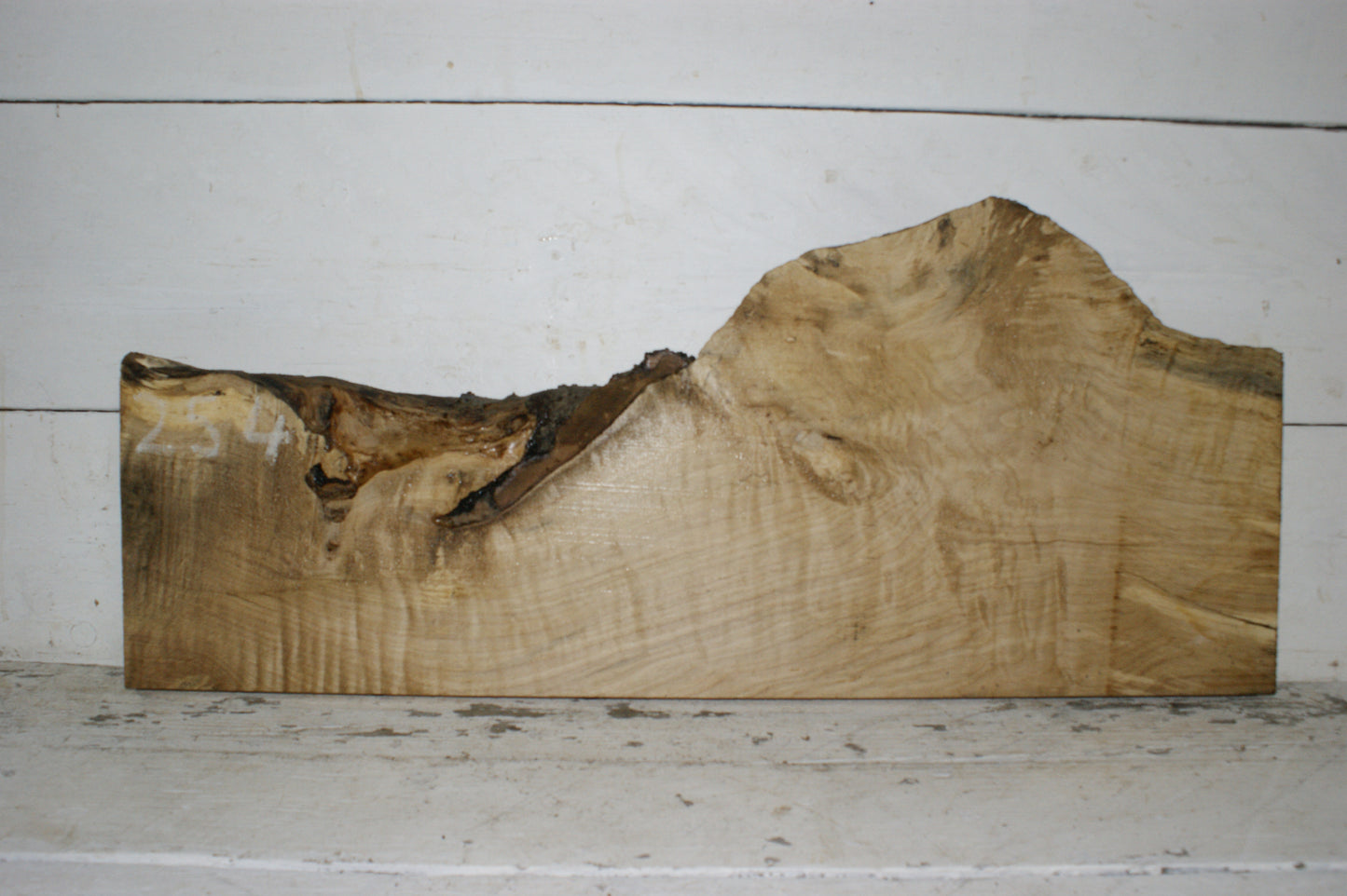 Hornbeam plank, hardwood board (254)