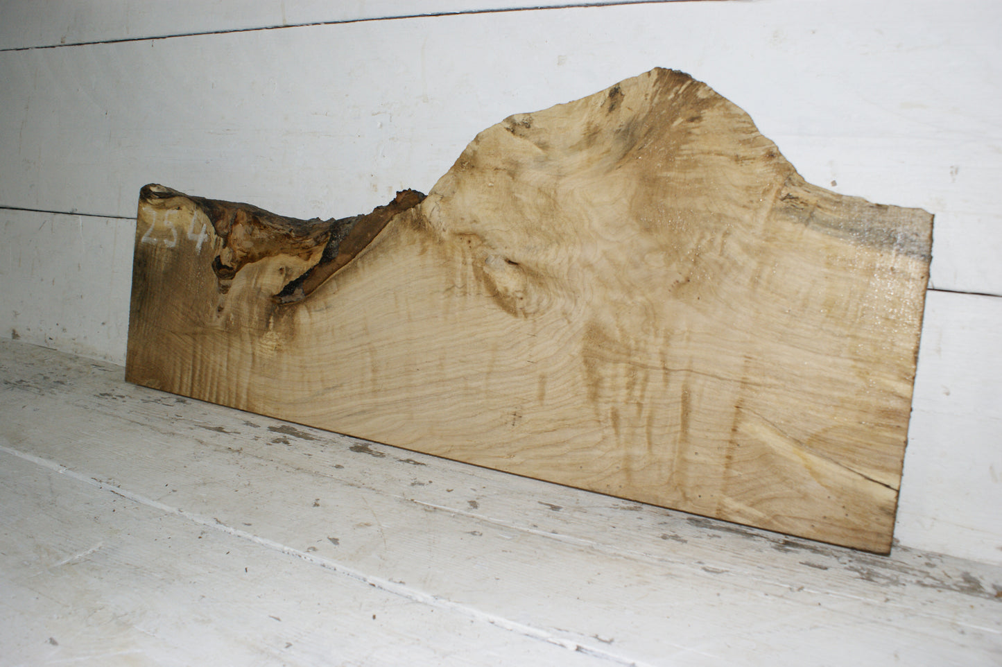 Hornbeam plank, hardwood board (254)