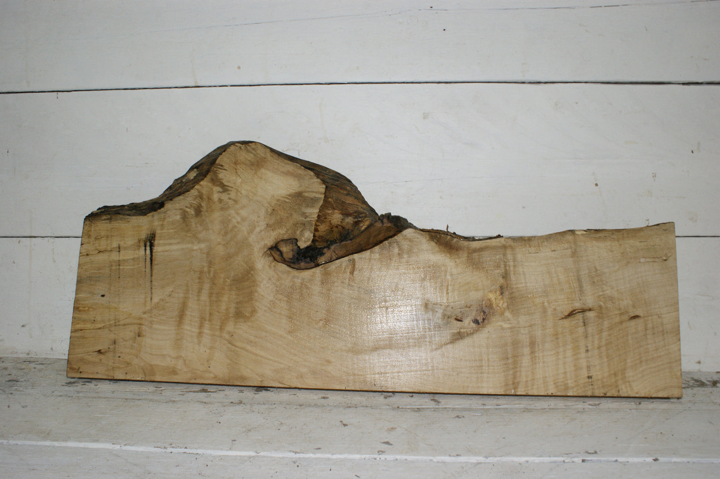 Hornbeam plank, hardwood board (254)