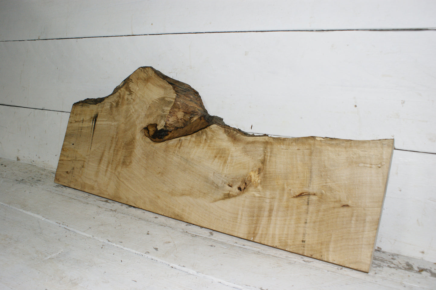 Hornbeam plank, hardwood board (254)