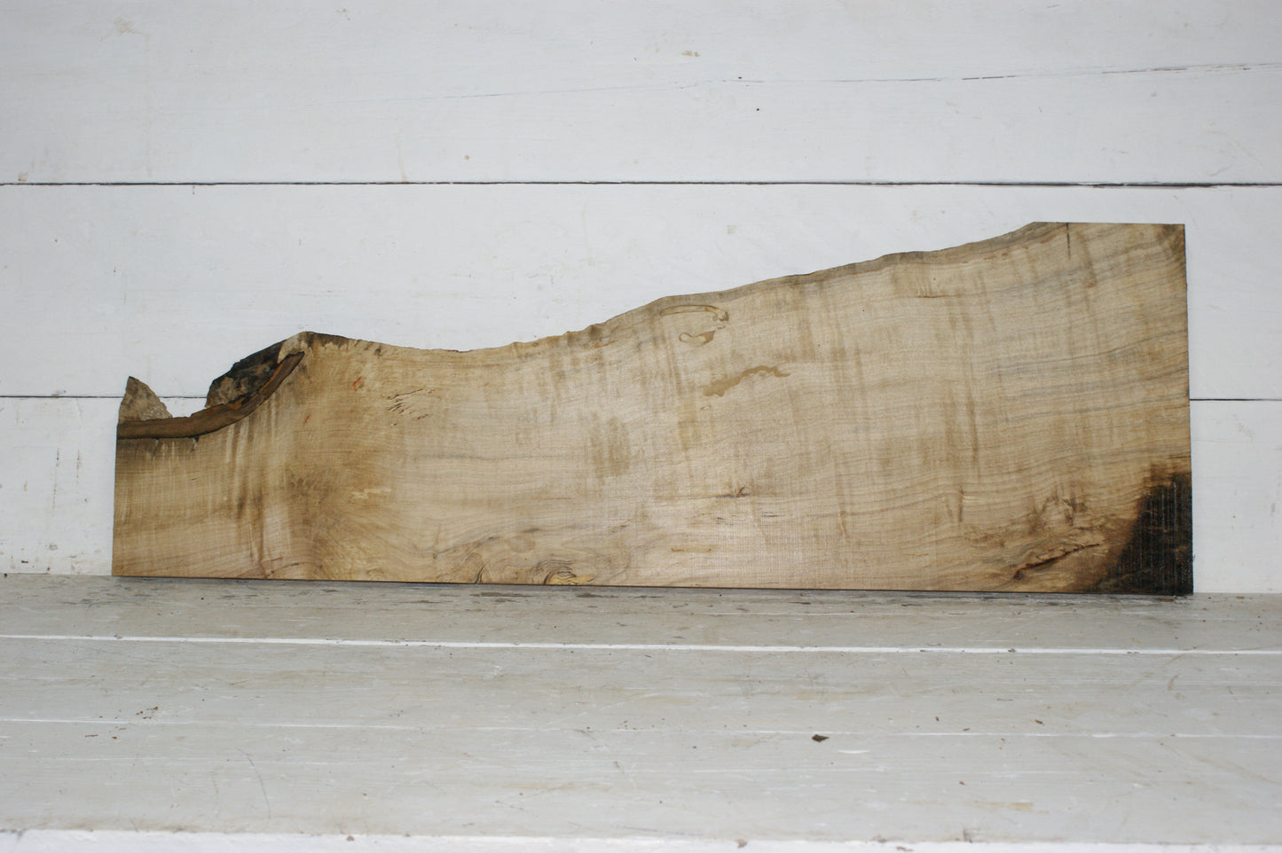 Hornbeam plank, hardwood board (255)