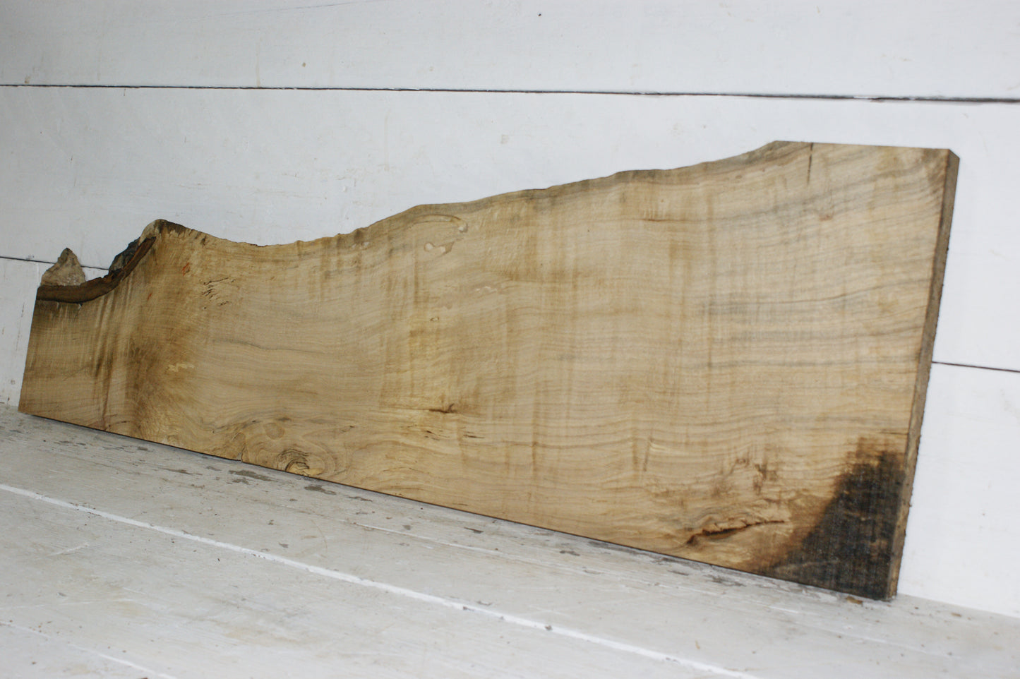 Hornbeam plank, hardwood board (255)