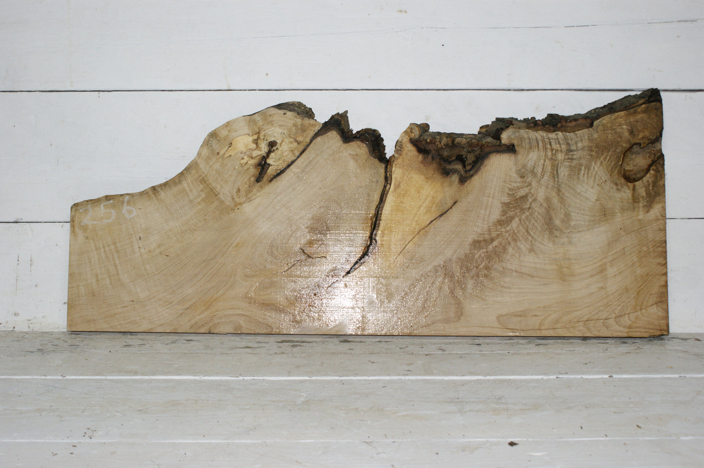 Hornbeam plank, hardwood board (256)