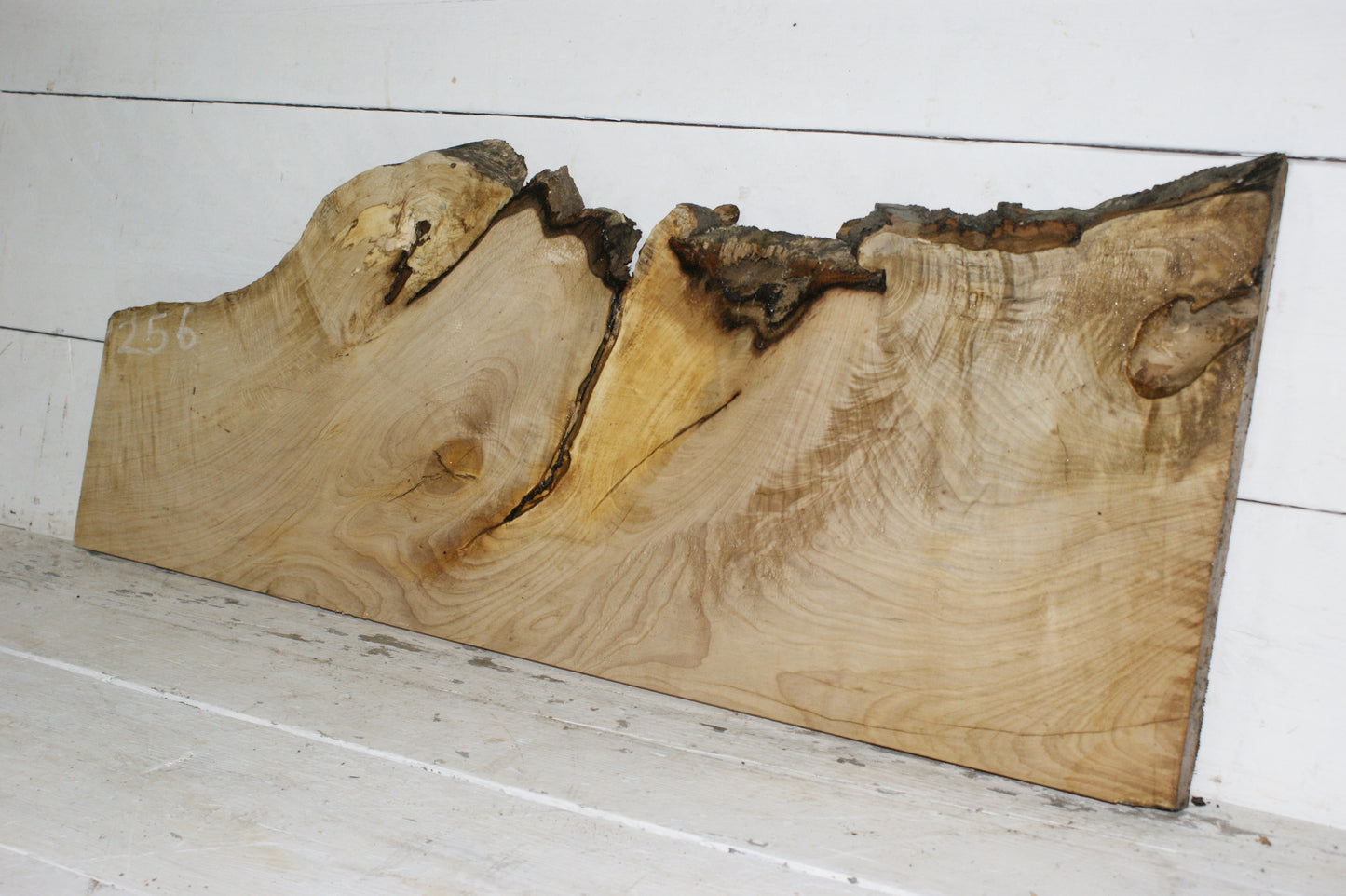 Hornbeam plank, hardwood board (256)