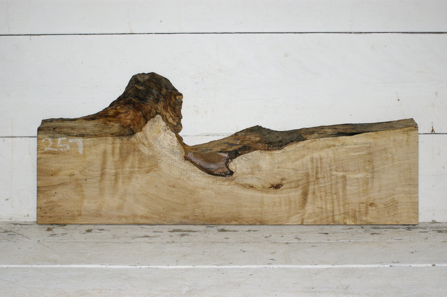Hornbeam plank, hardwood board (257)