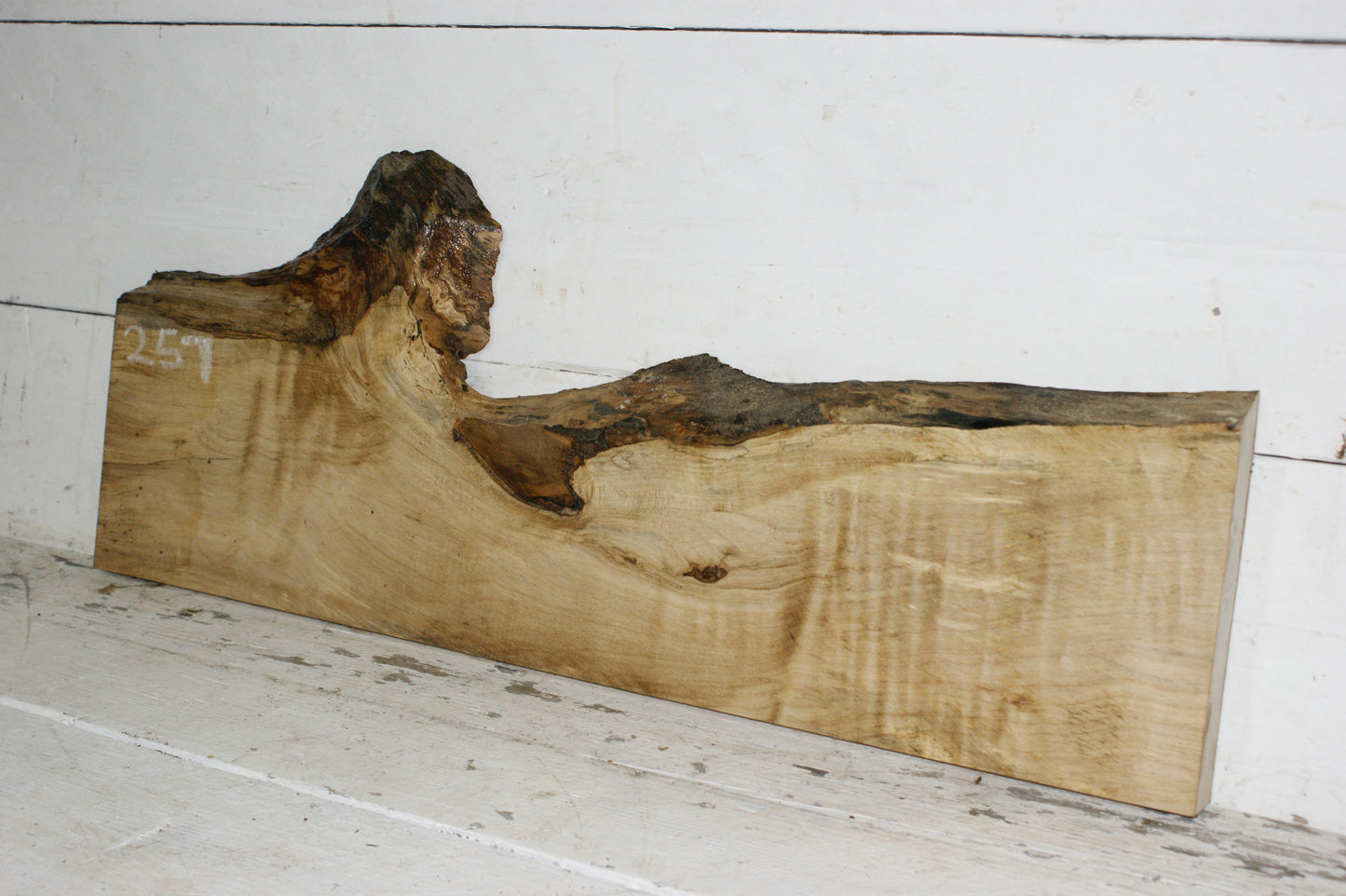 Hornbeam plank, hardwood board (257)