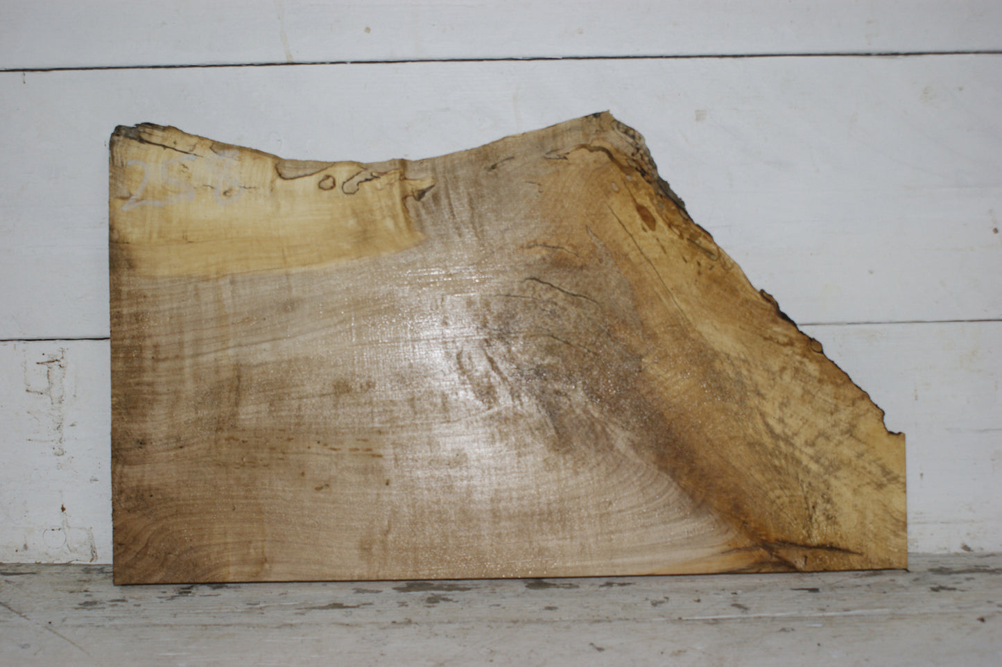 Hornbeam plank, hardwood board (258)