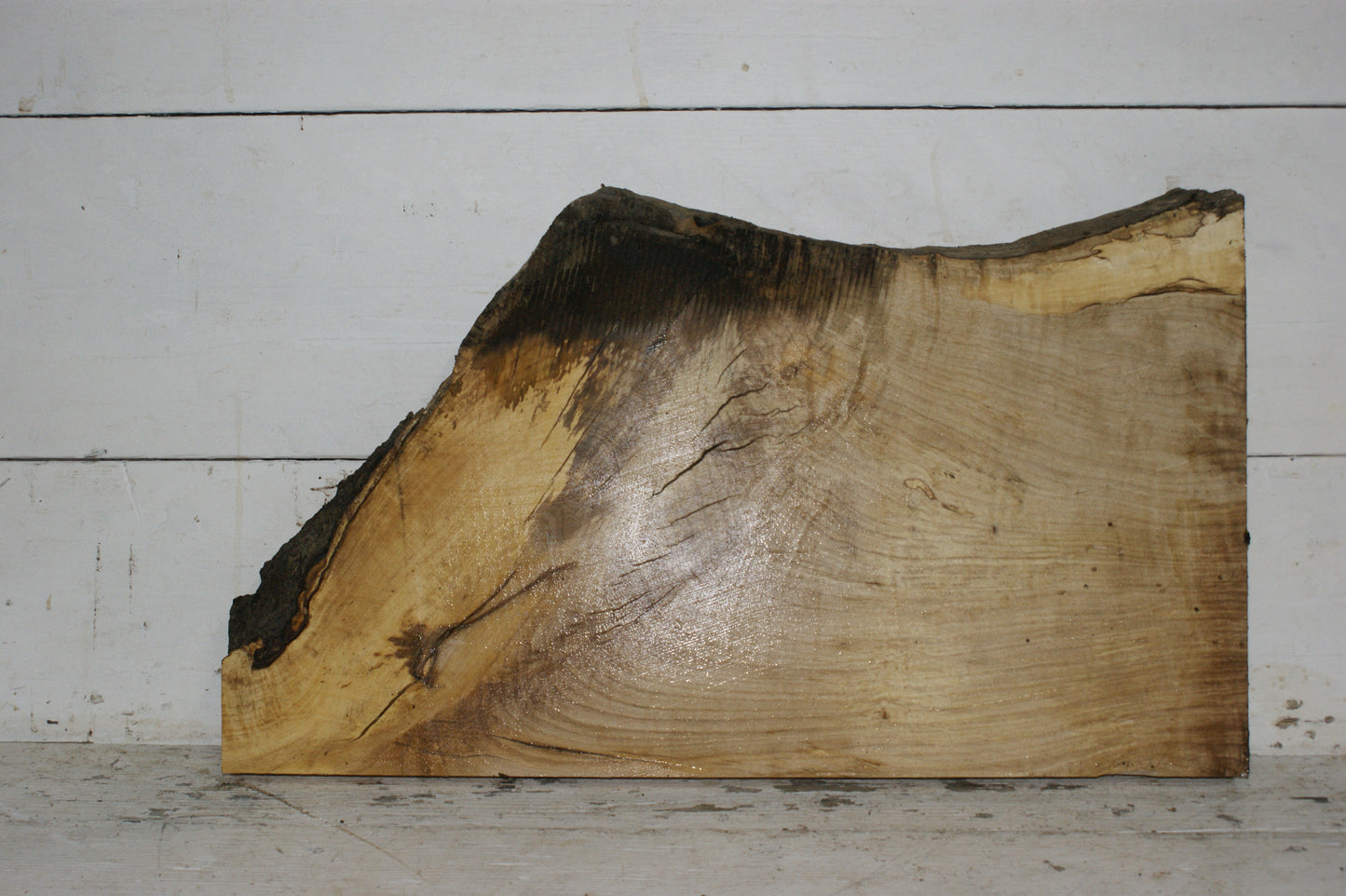 Hornbeam plank, hardwood board (258)