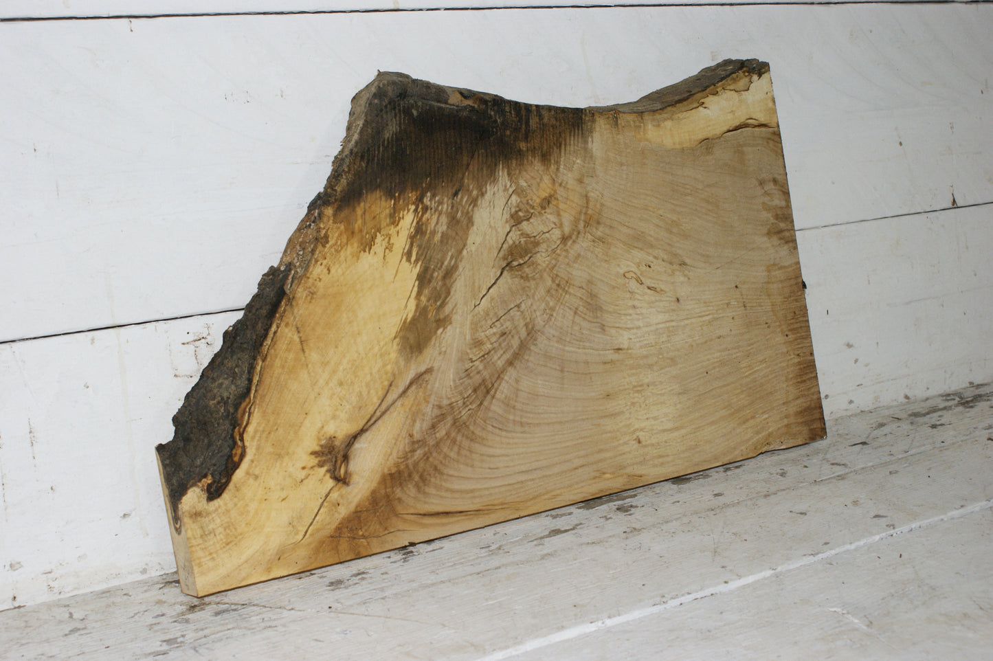 Hornbeam plank, hardwood board (258)