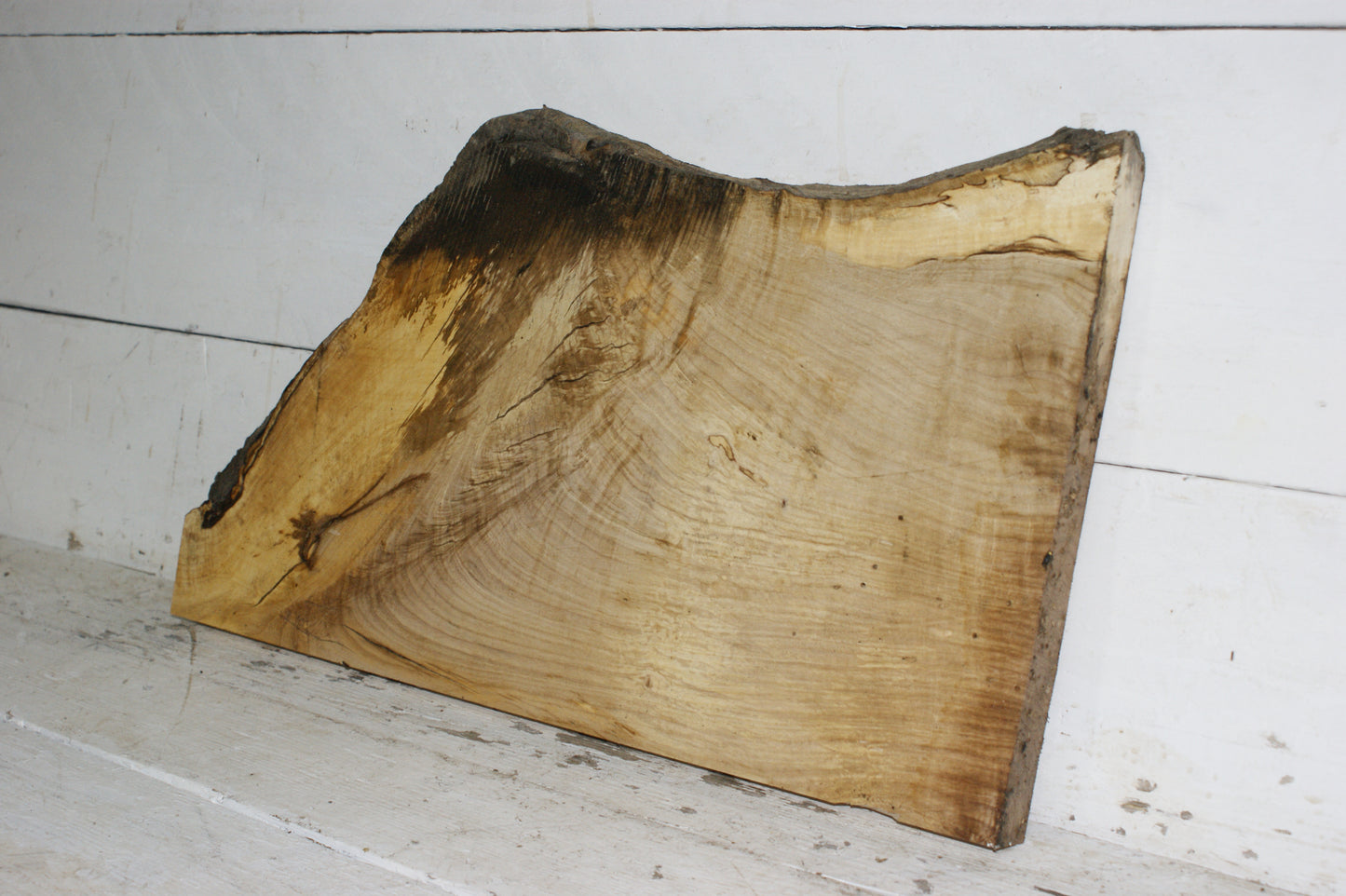 Hornbeam plank, hardwood board (258)