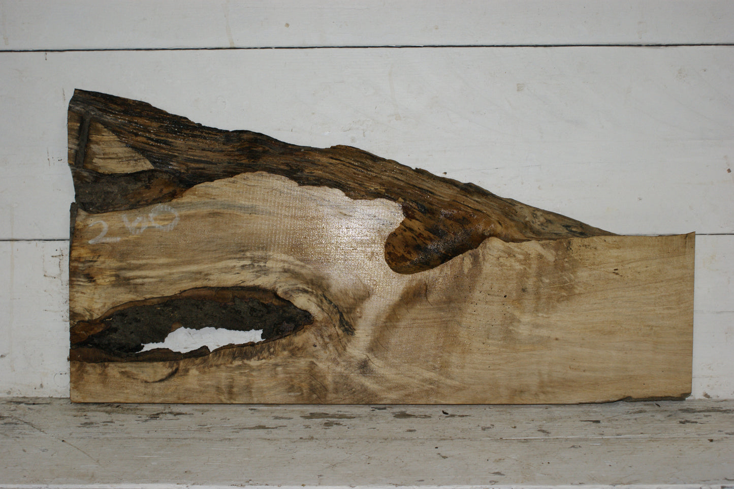 Hornbeam plank, hardwood board (260)