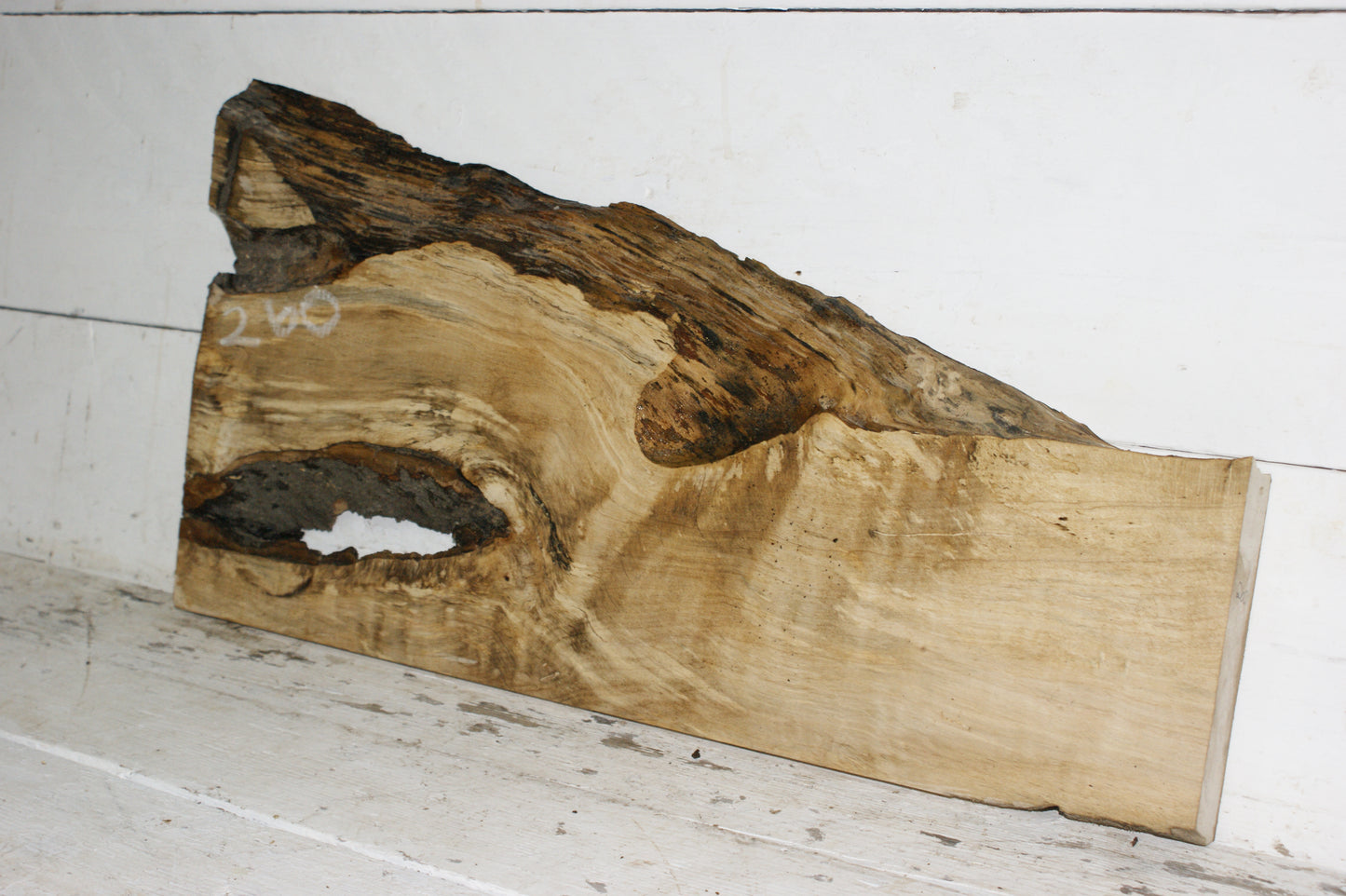 Hornbeam plank, hardwood board (260)