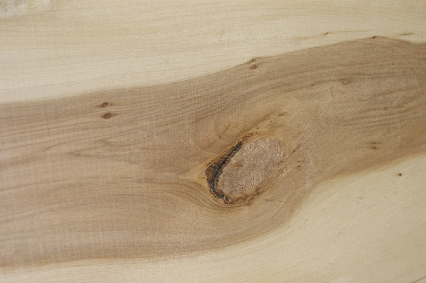 LIME 1200 L x 354 - 306 W x 36 D (mm), AIR DRIED (336)