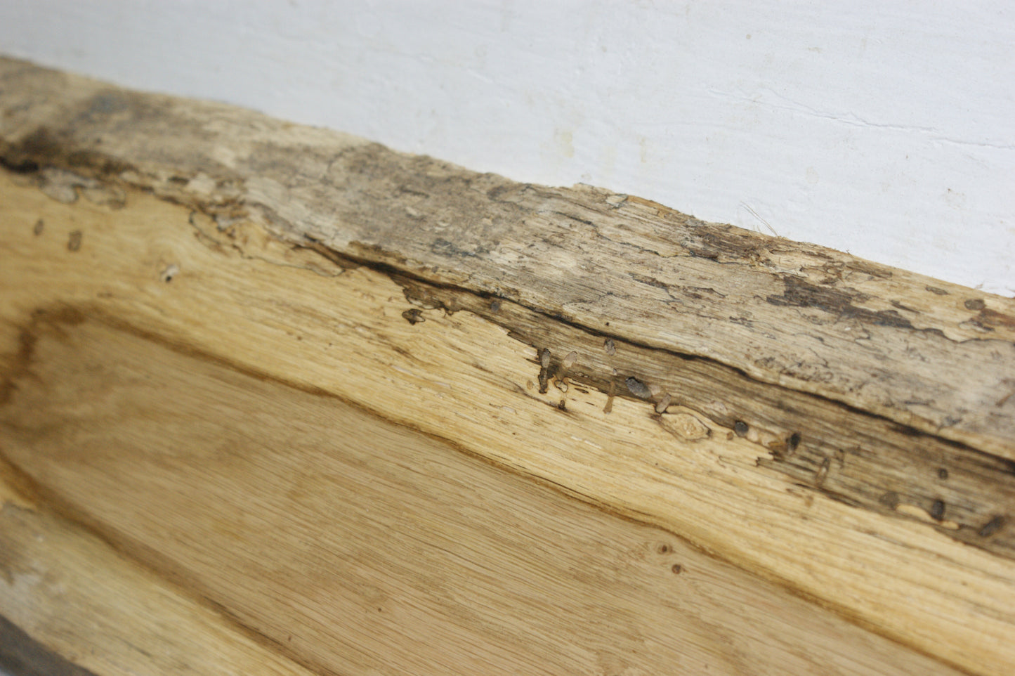 Oak, 1000 L x 242 - 201 W x 41 D (mm) plank, hardwood timber (265)