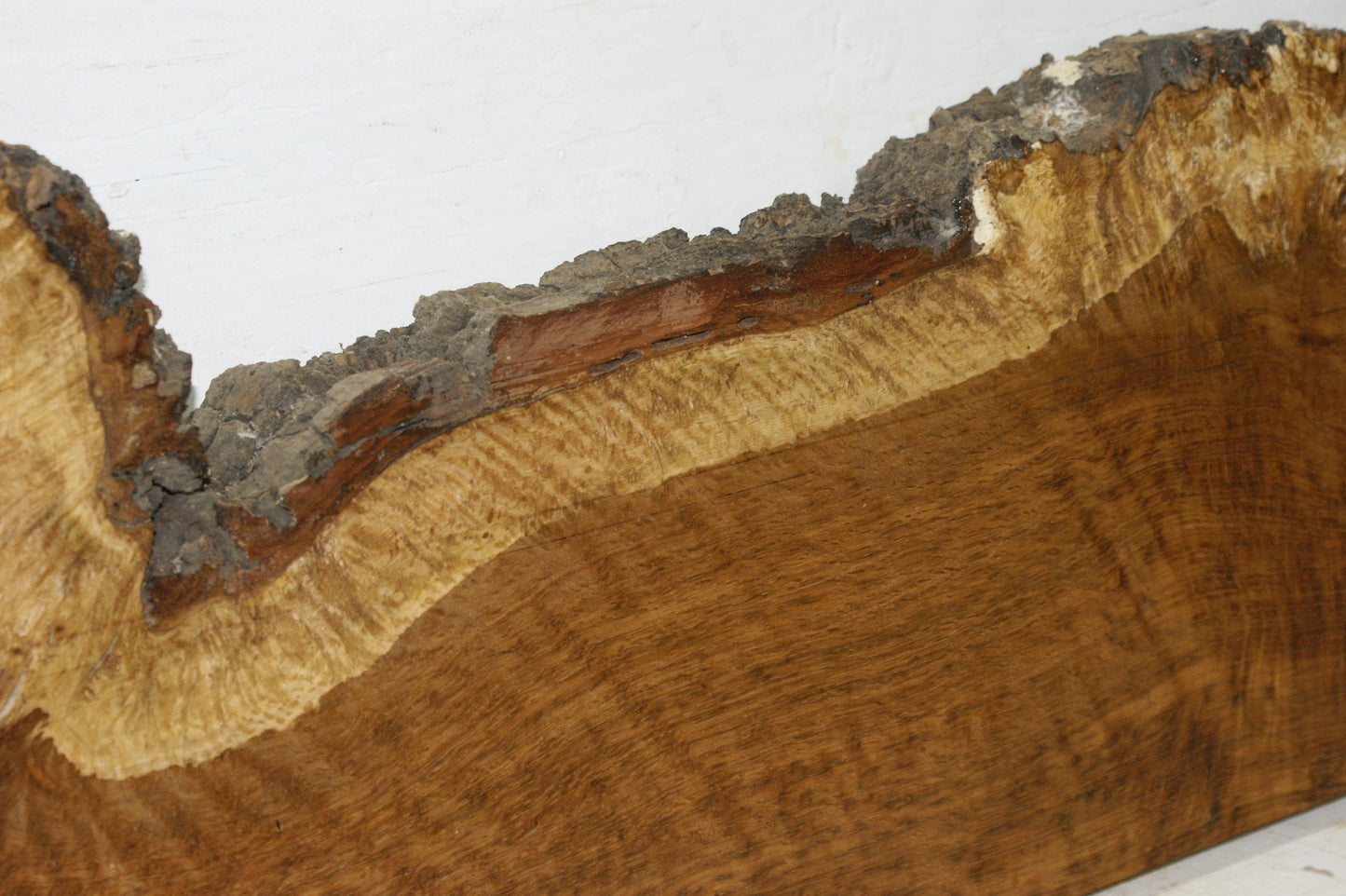 Burr Brown Oak, 1191 L x 300 - 193 W x 58 D (mm) plank, hardwood timber (271)