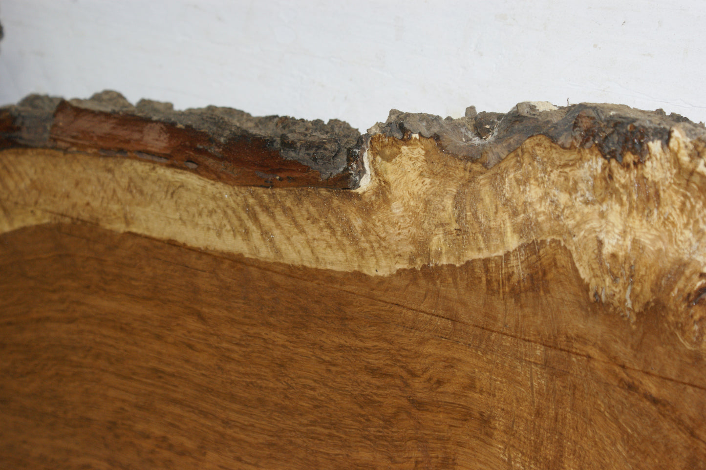 Burr Brown Oak, 1191 L x 300 - 193 W x 58 D (mm) plank, hardwood timber (271)