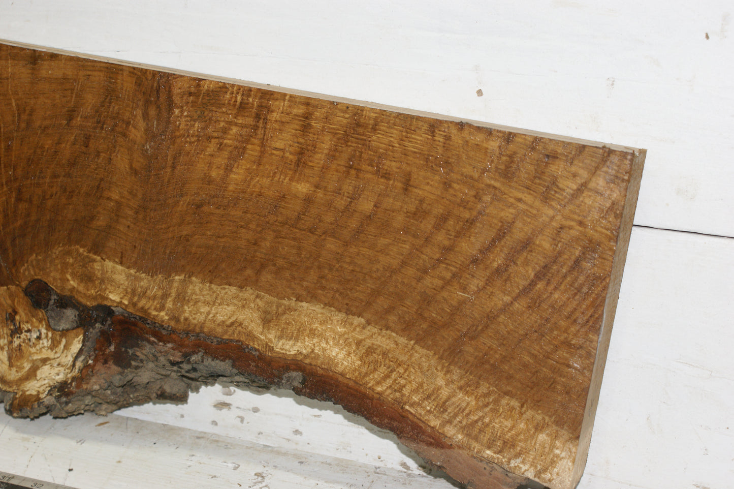 Burr Brown Oak, 1191 L x 300 - 193 W x 58 D (mm) plank, hardwood timber (271)