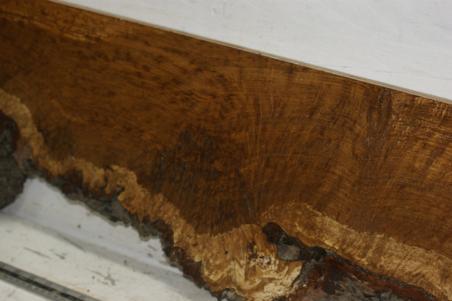 Burr Brown Oak, 1191 L x 300 - 193 W x 58 D (mm) plank, hardwood timber (271)