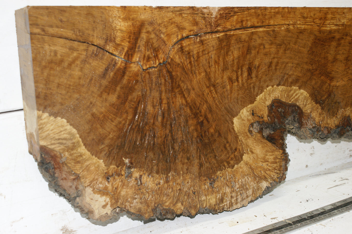 Burr Brown Oak, 1191 L x 300 - 193 W x 58 D (mm) plank, hardwood timber (271)