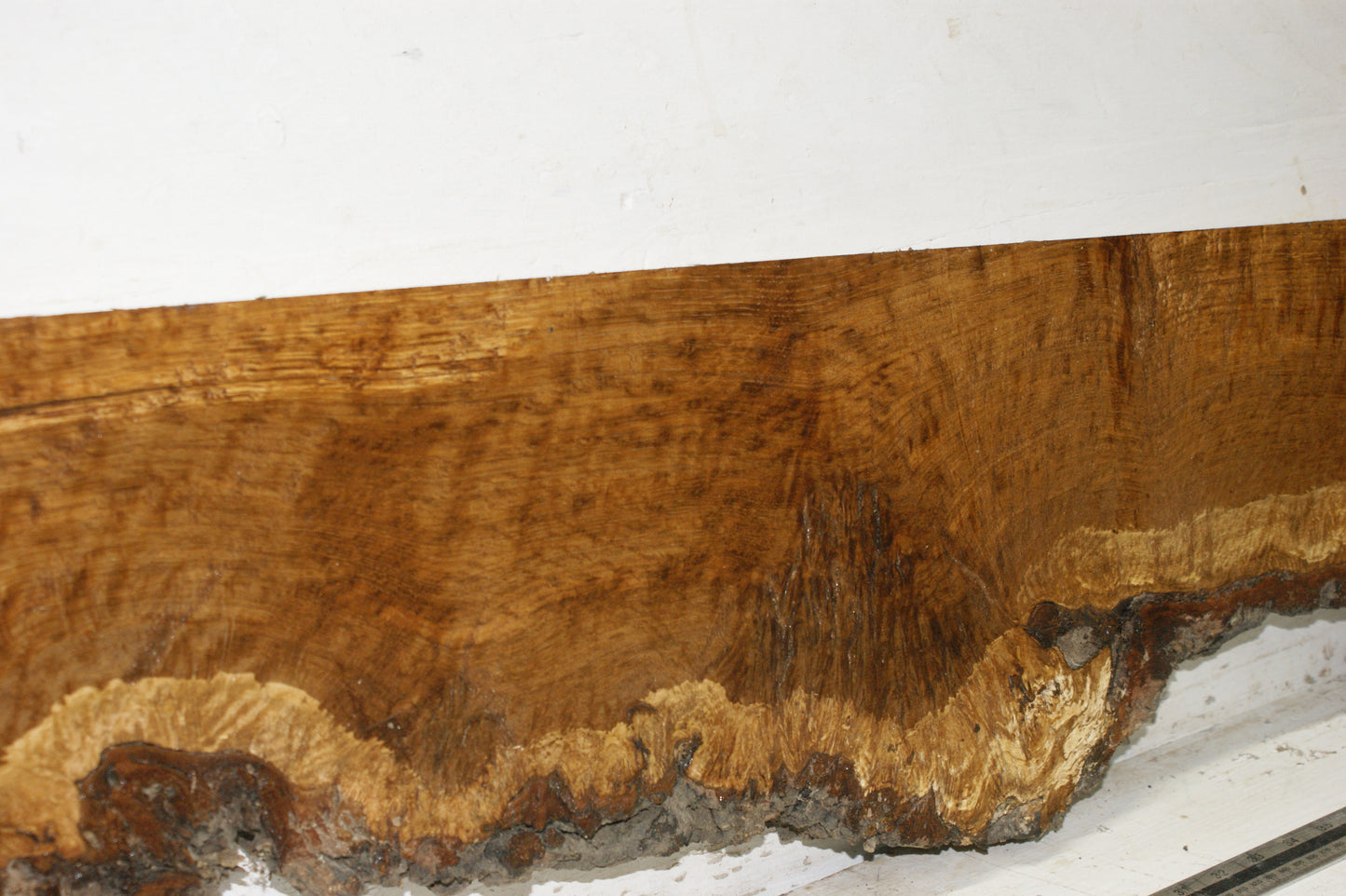 Burr Brown Oak, 1191 L x 300 - 193 W x 58 D (mm) plank, hardwood timber (271)