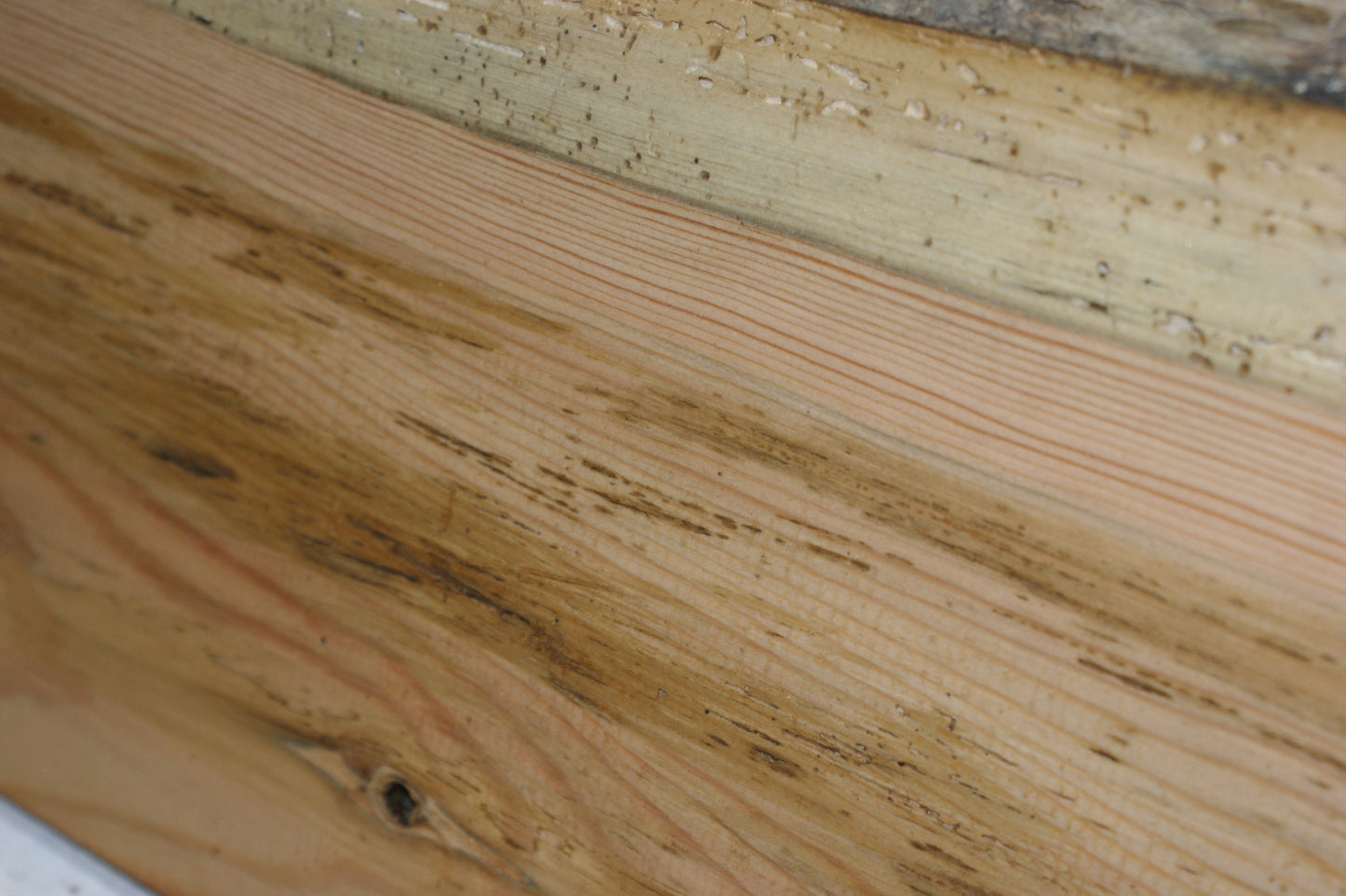 AIR DRIED LARCH, 1479 L x 235 - 214 W x 24 D (mm) SOFTWOOD (291)