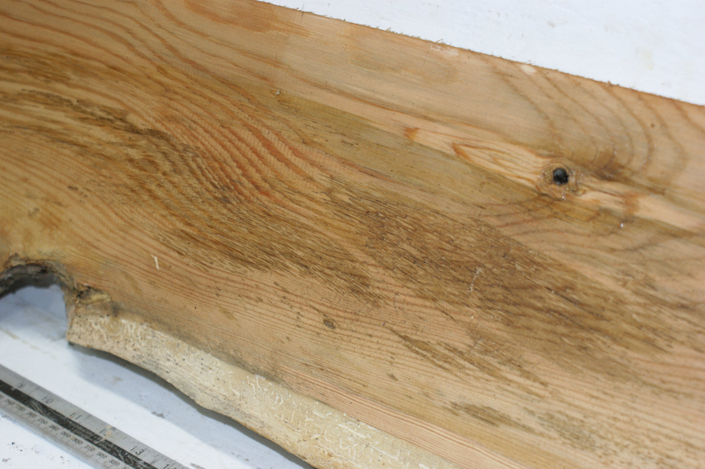 AIR DRIED LARCH, 1479 L x 235 - 214 W x 24 D (mm) SOFTWOOD (291)