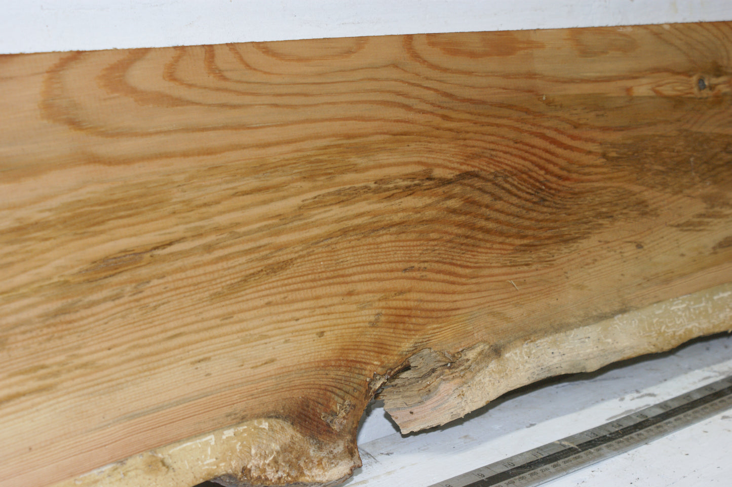 AIR DRIED LARCH, 1479 L x 235 - 214 W x 24 D (mm) SOFTWOOD (291)